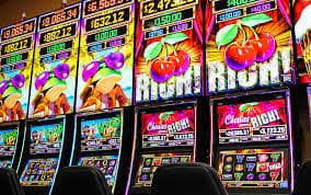 crickex Live Casino